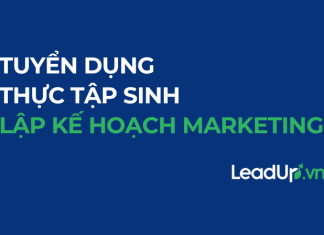 LeadUp Tuyển dụng Thực tập sinh lập kế hoạch Marketing